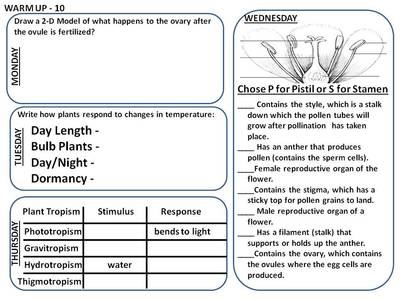 plant tropisms worksheet pdf
