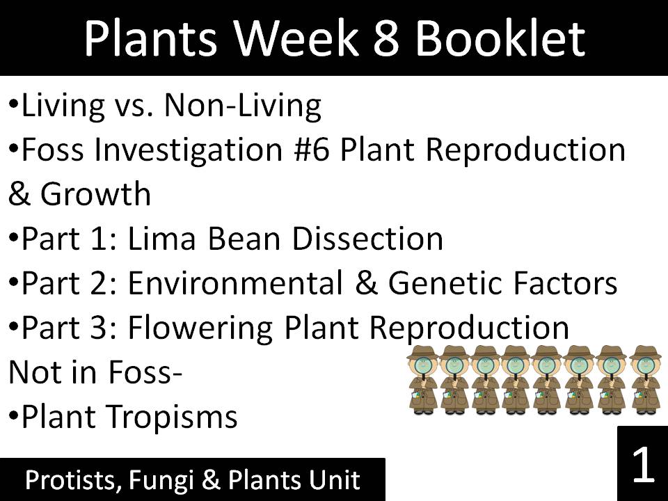 plant tropisms worksheet pdf